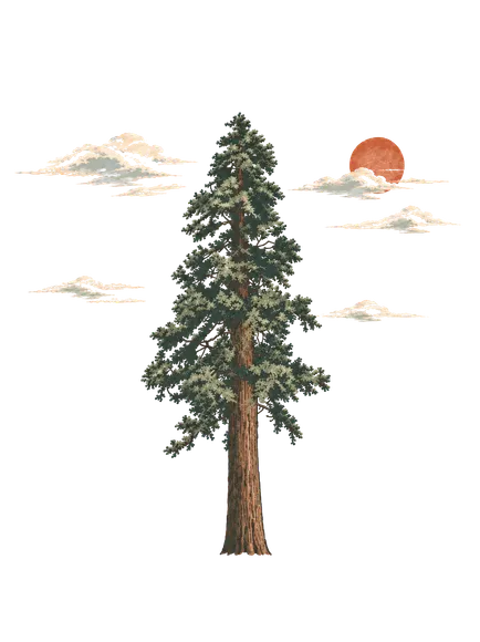A lone redwood under a red sun and clouds